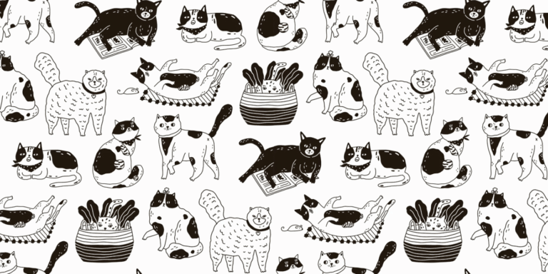 Essential Daily Care Tips for Pet Cats