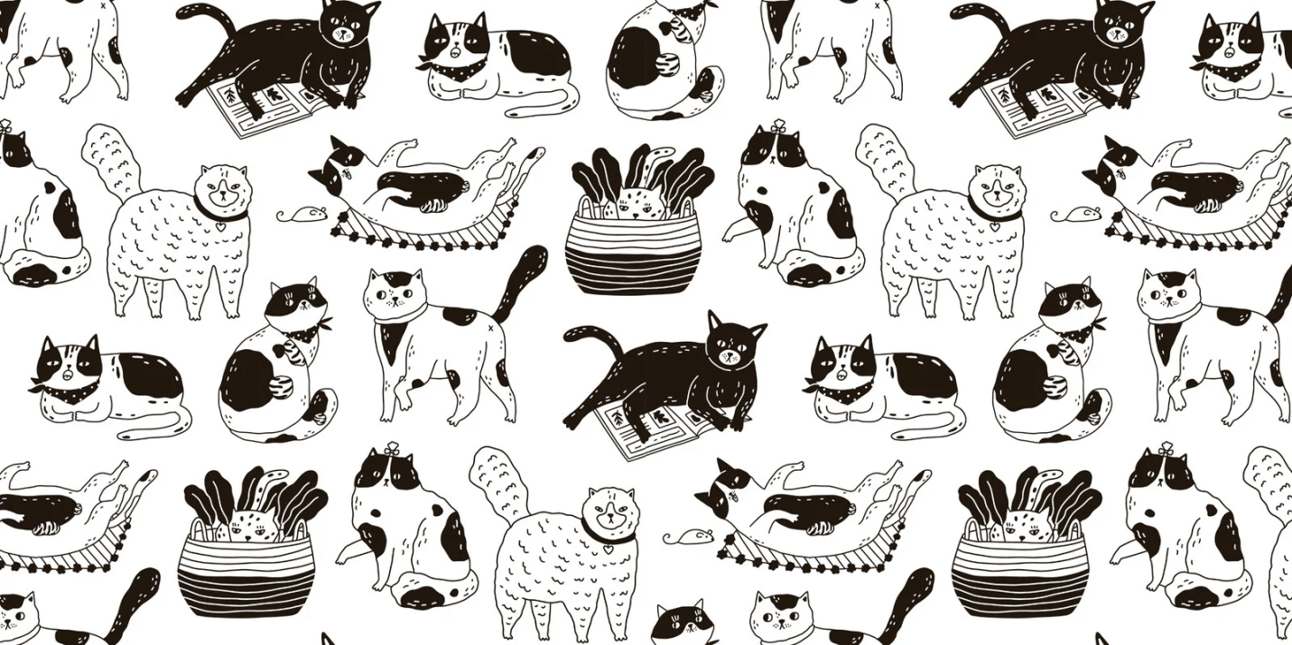 Essential Daily Care Tips for Pet Cats
