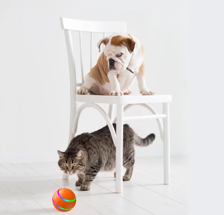 pet ball toy